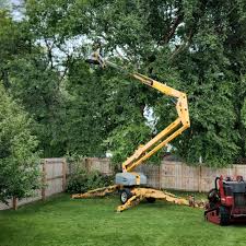 Best Lawn Irrigation Installation and Maintenance  in Fall City, WA
