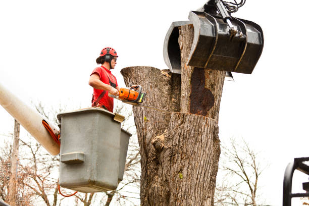 Best Soil Testing and Treatment  in Fall City, WA